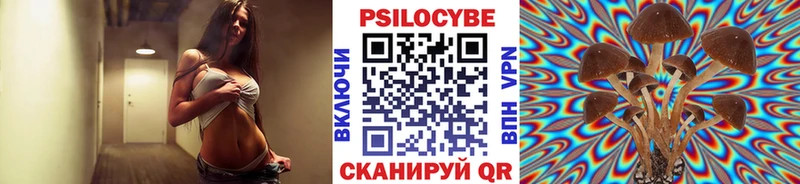 mega ТОР  Лобня  маркетплейс телеграм  Псилоцибиновые грибы GOLDEN TEACHER 